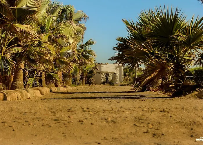 Moses Bay El-Tor