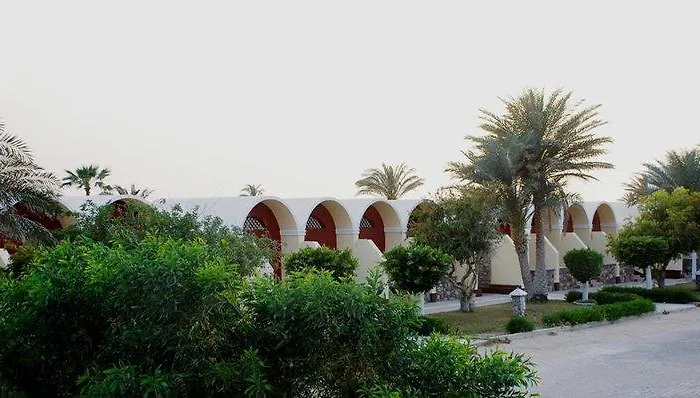 Moses Bay 5* El-Tor